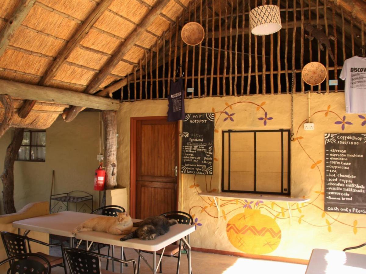 Discovery Bed&Breakfast Maun Exterior foto