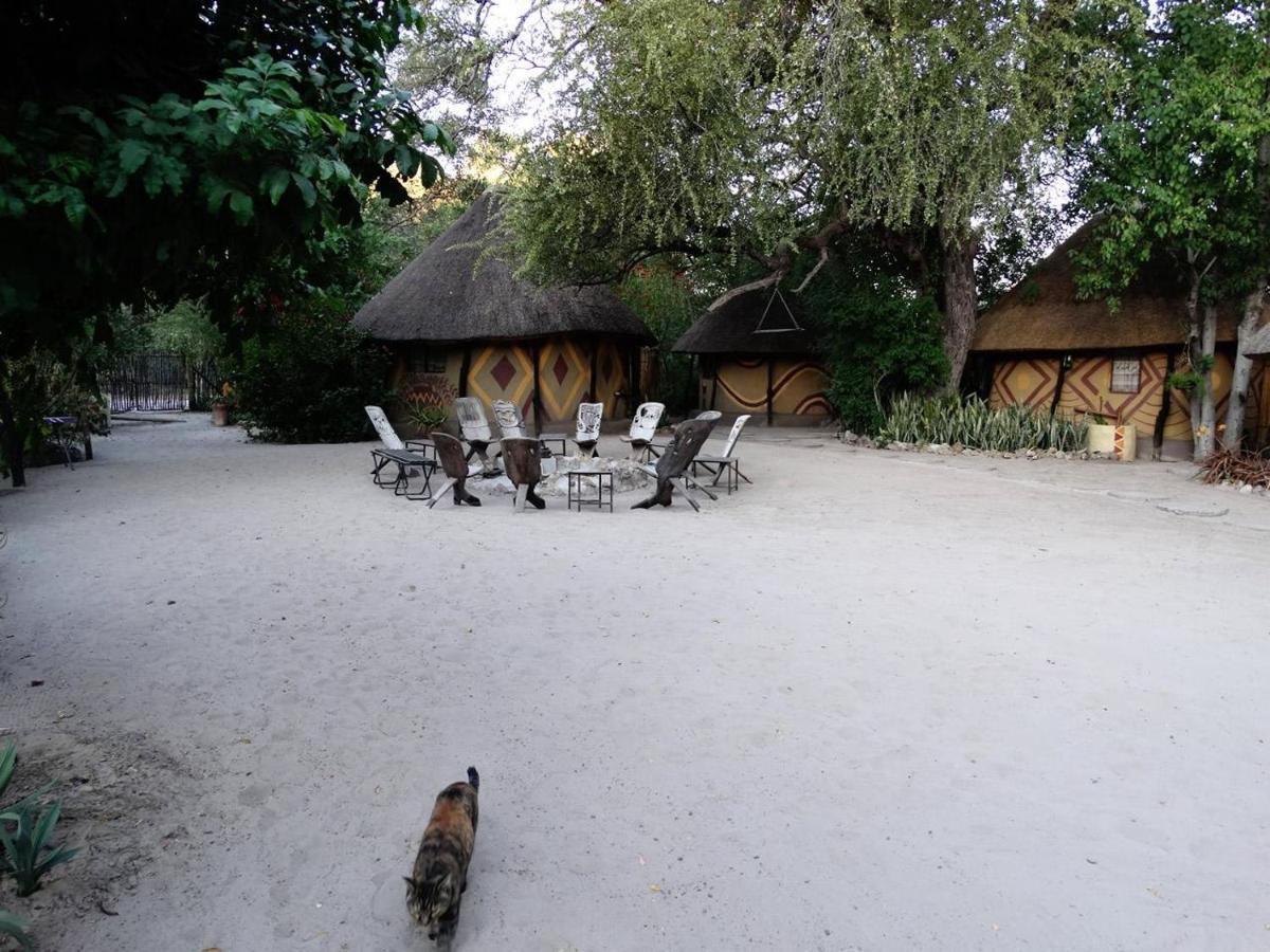 Discovery Bed&Breakfast Maun Exterior foto